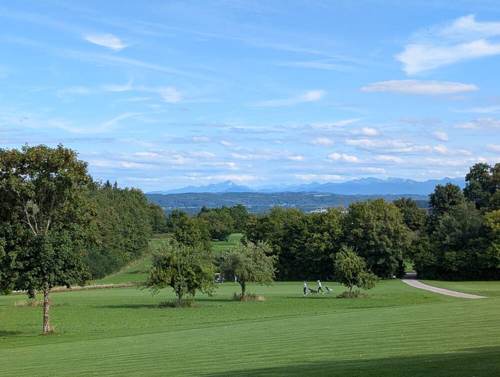 A wide fairway lined with trees, the Alps on the horizon